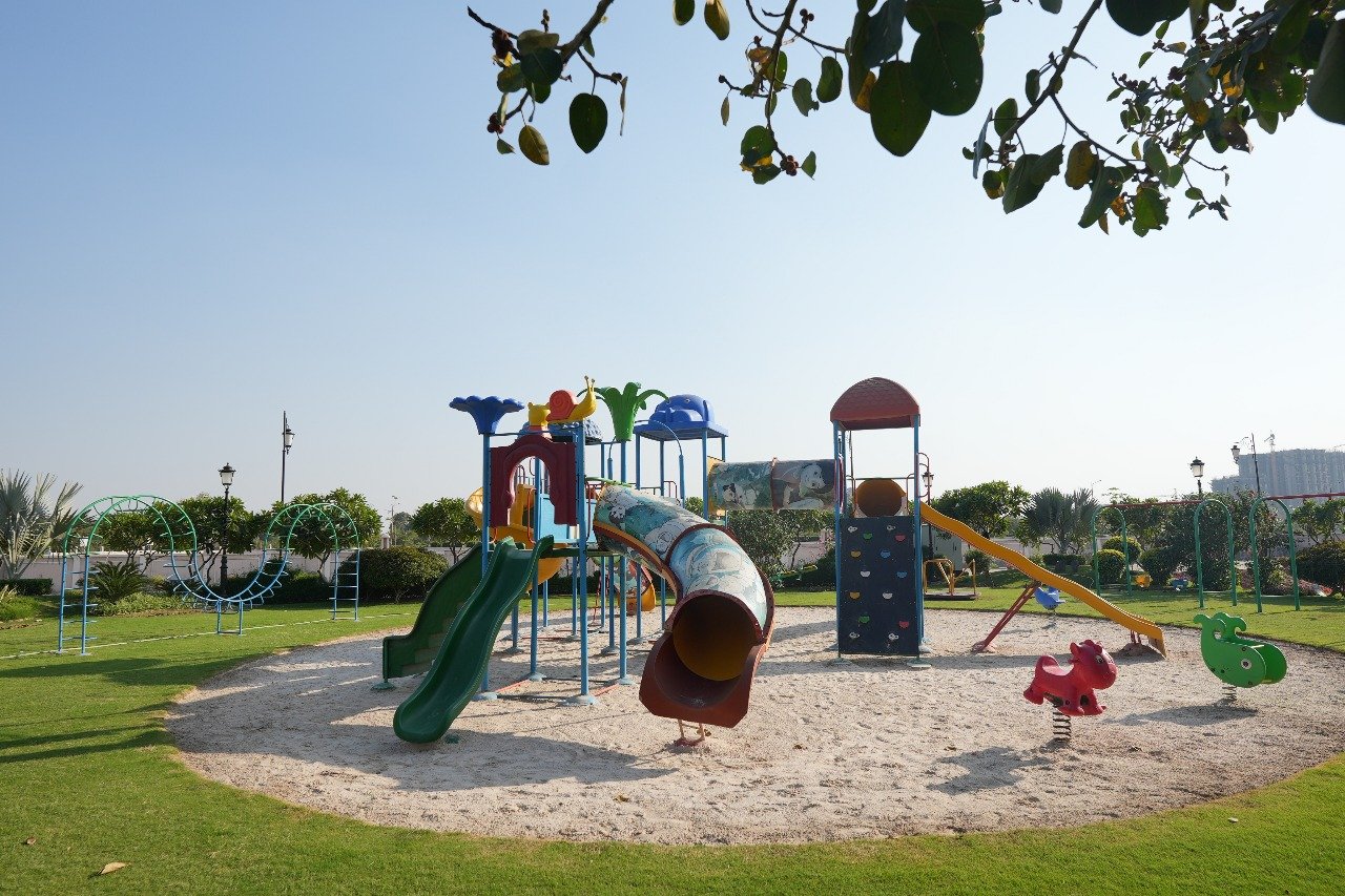 overview